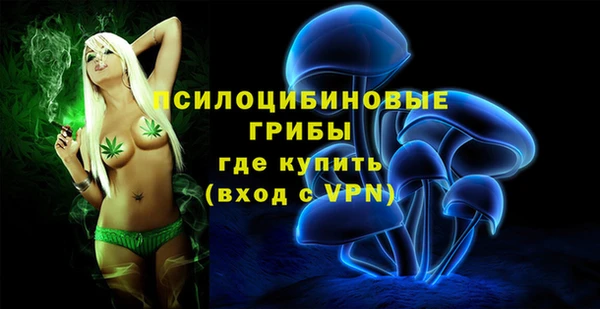 прущие крисы Абинск