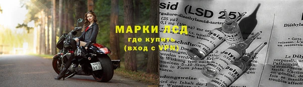 СК Абаза