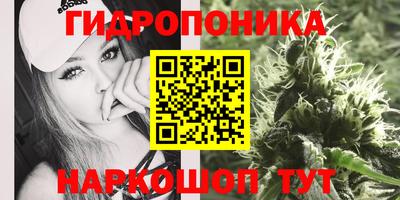 первитин Бийск