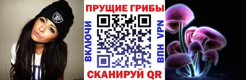 блэк спрут зеркало  Дубна  Псилоцибиновые грибы ЛСД 