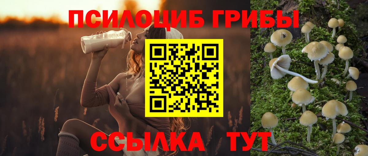 хочу наркоту  Вход с VPN  Дубна  Псилоцибиновые грибы GOLDEN TEACHER 