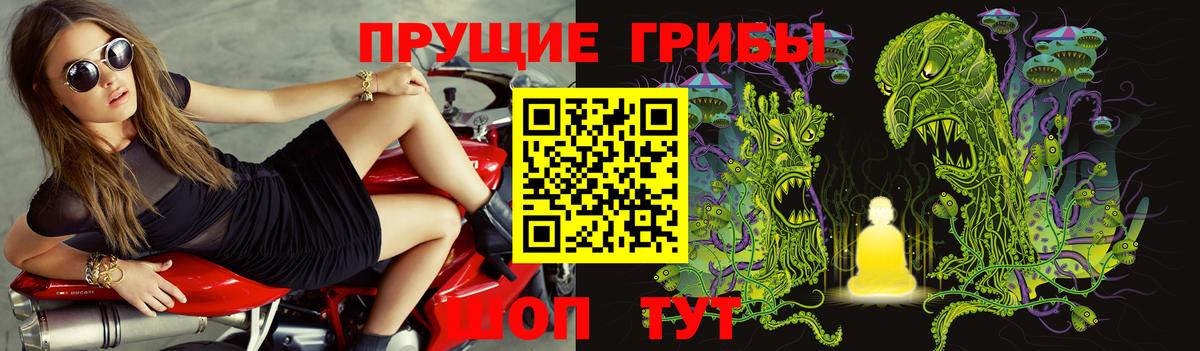 Псилоцибиновые грибы мухоморы Дубна